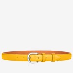 Ceinture Sans Clous 2,5 cm